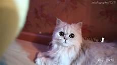 猫耳fm怎么导入本地音乐
